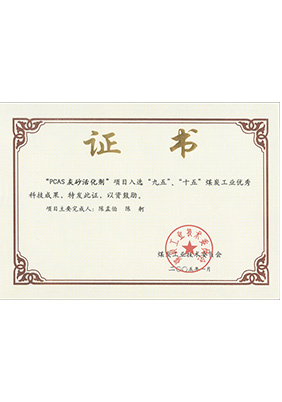 2005年1月PCAS灰砂活化劑獲“九五、十五”科技成果獎